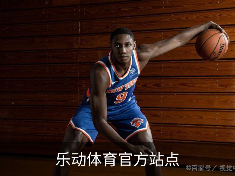 乐动体育官方站点简介